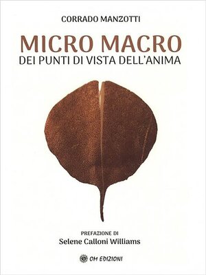 cover image of Micro Macro